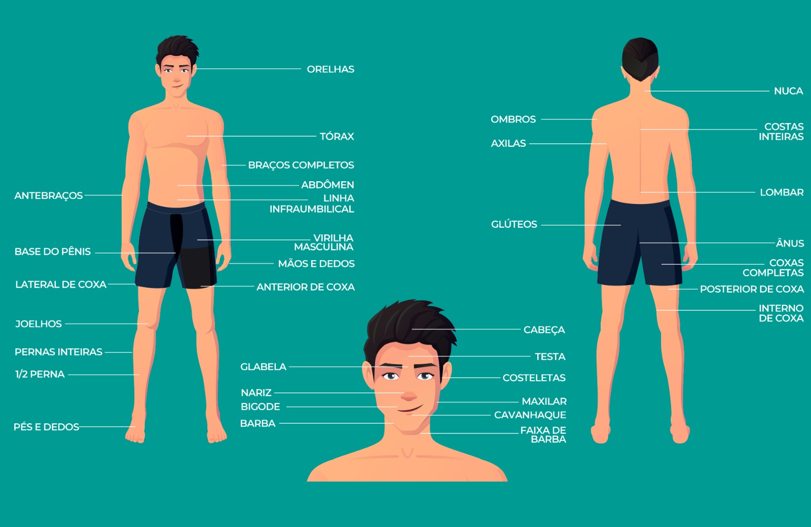 Áreas do corpo que podem ser depiladas - Masculino